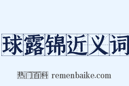 球露锦近义词是什么意思的图片